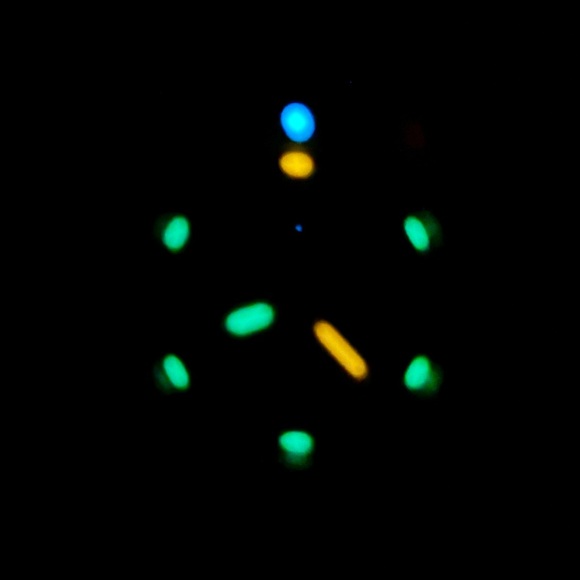 Luminox Leatherback SEA Turtle Giant XS.0321.L Mens Watch 44mm - Military Watch - Picture 5 of 5